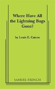Where Have All The Lightning Bugs Gone? Book Cover