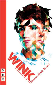 Wink Book Cover