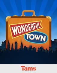 Wonderful Town Book Cover