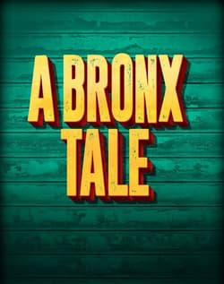 A Bronx Tale, The Musical Book Cover