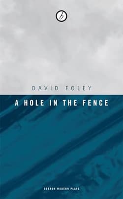 A Hole In The Fence Book Cover
