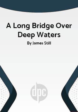A Long Bridge Over Deep Waters Book Cover