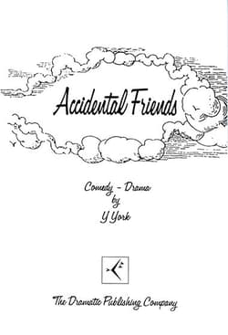 Accidental Friends Book Cover