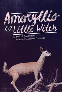 Amaryllis & Little Witch Book Cover