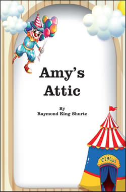 Amy's Attic Book Cover