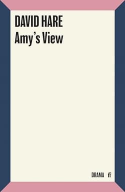 Amy's View Book Cover