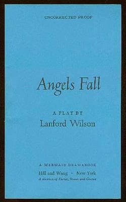 Angel's Fall Book Cover