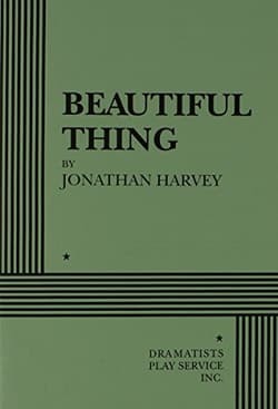 Beautiful Thing Book Cover