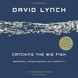 Catching the Big Fish: Meditation, Consciousness, and Creativity (10th Anniversary Edition) Book Cover
