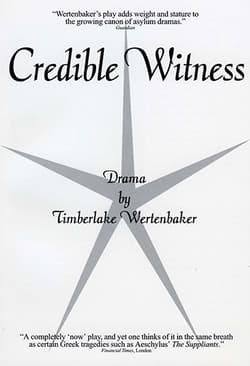 Credible Witness Book Cover