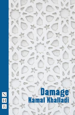 Damage Book Cover