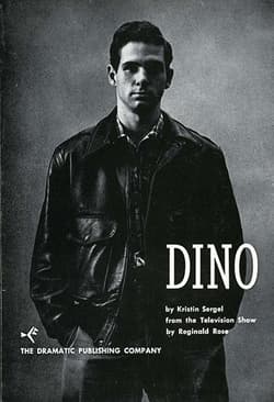 Dino Book Cover