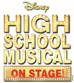 Disney's High School Musical Book Cover