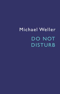 Do Not Disturb Book Cover