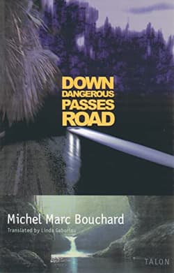 Down Dangerous Passes Road Book Cover