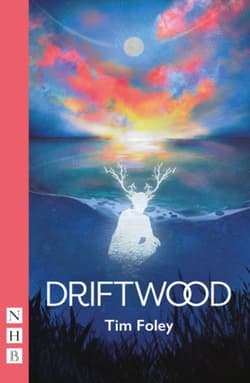 Driftwood Book Cover