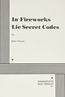 In Fireworks Lie Secret Codes Book Cover