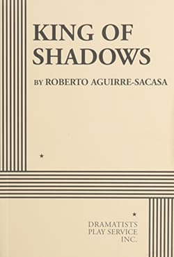 King Of Shadows Book Cover