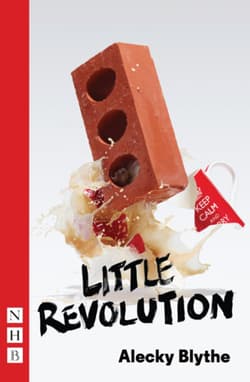 Little Revolution Book Cover