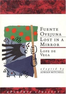 Lost in a Mirror Book Cover