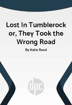Lost In Tumblerock or, They Took the Wrong Road Book Cover