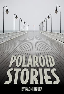 Polaroid Stories Book Cover