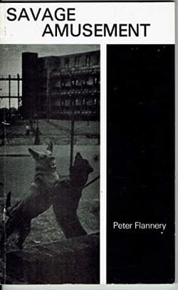 Savage Amusement Book Cover