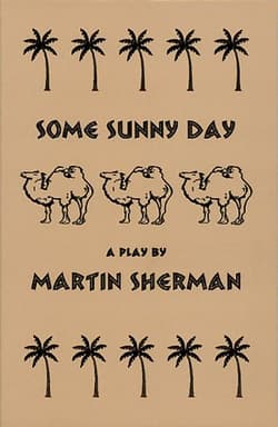 Some Sunny Day Book Cover