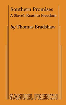 Southern Promises Book Cover