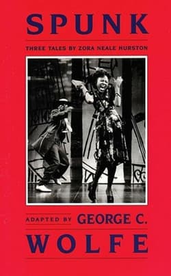 Spunk Book Cover