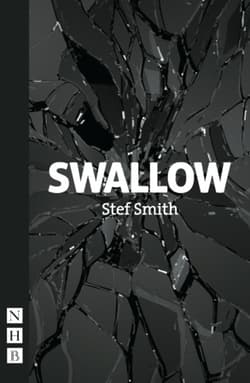 Swallow Book Cover