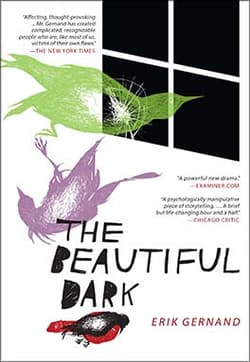 The Beautiful Dark Book Cover