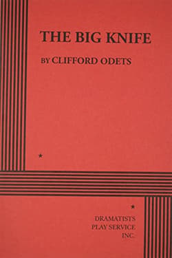 The Big Knife Book Cover