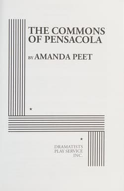The Commons Of Pensacola Book Cover