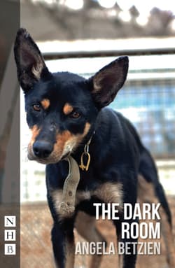 The Dark Room Book Cover