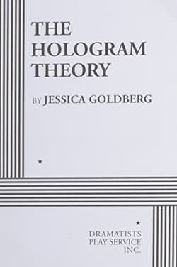 The Hologram Theory Book Cover