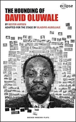 The Hounding Of David Oluwale Book Cover