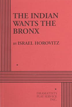 The Indian Wants The Bronx Book Cover