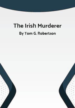 The Irish Murderer Book Cover