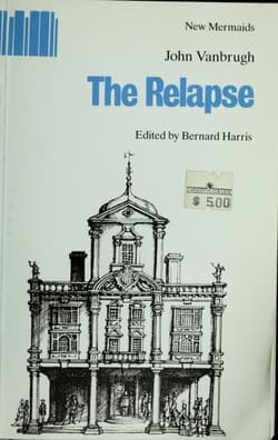 The Relapse Book Cover