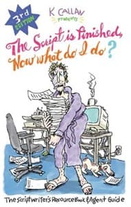 The Script is Finished, Now What Do I Do? Book Cover