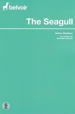 The Seagull Book Cover