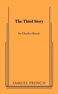 The Third Story Book Cover