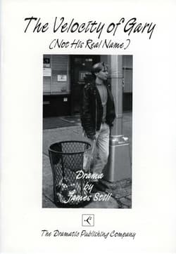 The Velocity of Gary (Not His Real Name) Book Cover