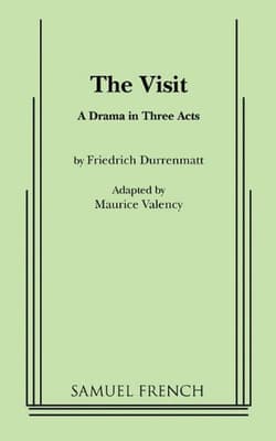 The Visit Book Cover