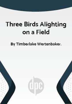 Three Birds Alighting On A Field Book Cover