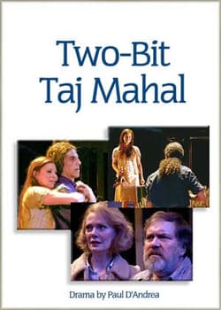 Two-Bit Taj Mahal Book Cover