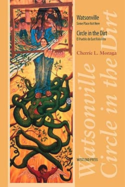 Watsonville Book Cover