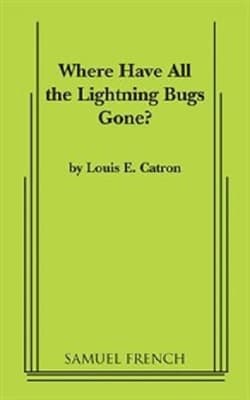 Where Have All The Lightning Bugs Gone? Book Cover