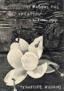 27 Wagons Full of Cotton Book Cover